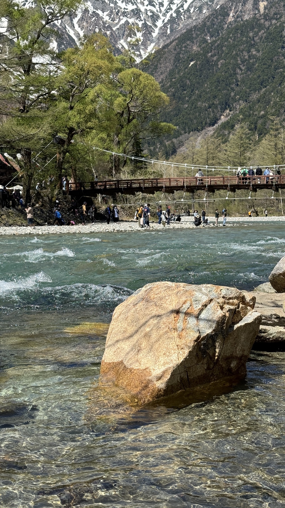 Mountain stream flowing through pristine alpine valley with evergreen forest, Kamikochi