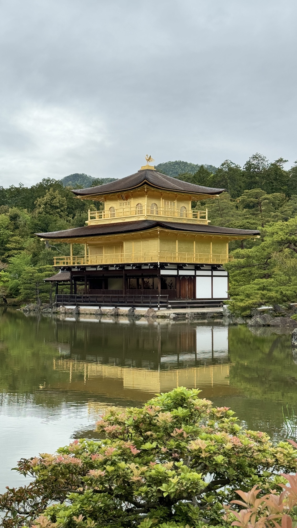 Kinkaku-ji golden pavilion reflected perfectly in mirror pond, Kyoto
