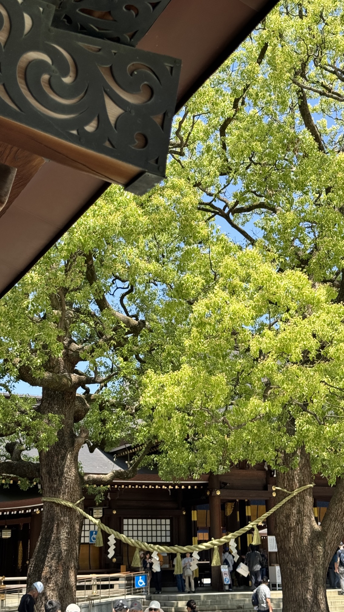Rows of ema (wish) wooden plaques left at Meiji Shrine by visitors, Tokyo