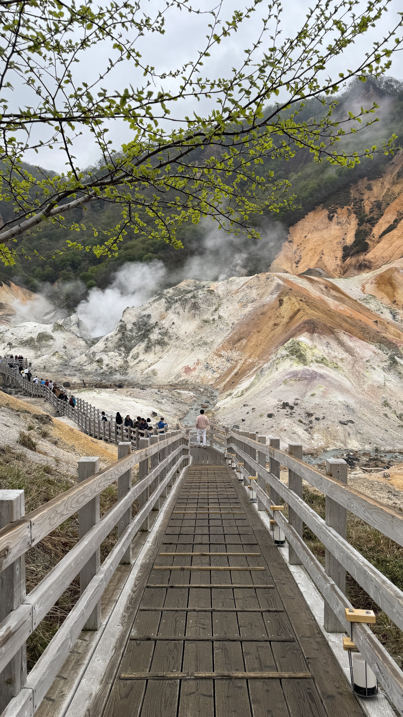 Geothermal landscape with steaming hot springs and volcanic rock formations, Hokkaido