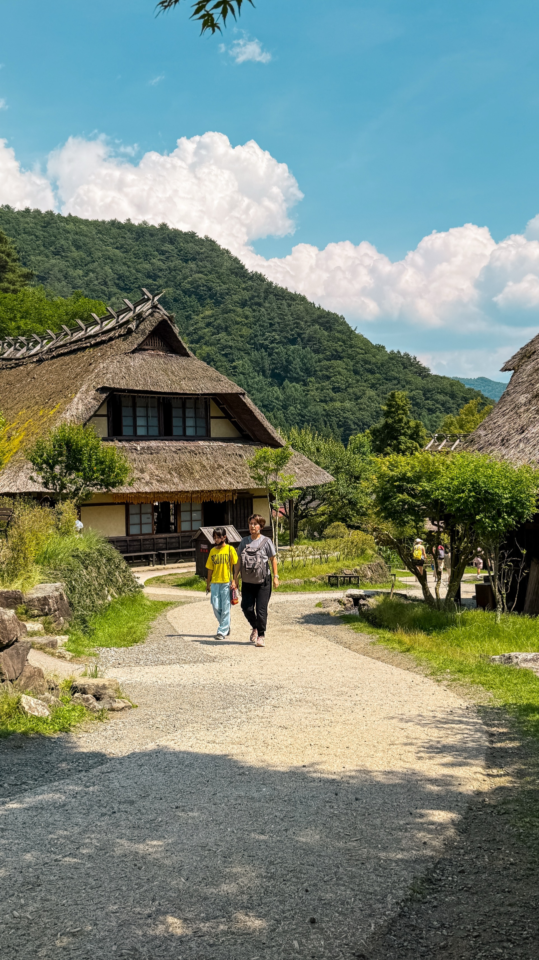 Thatched-roof farmhouses at Saiko Iyashi no Sato Nenba village