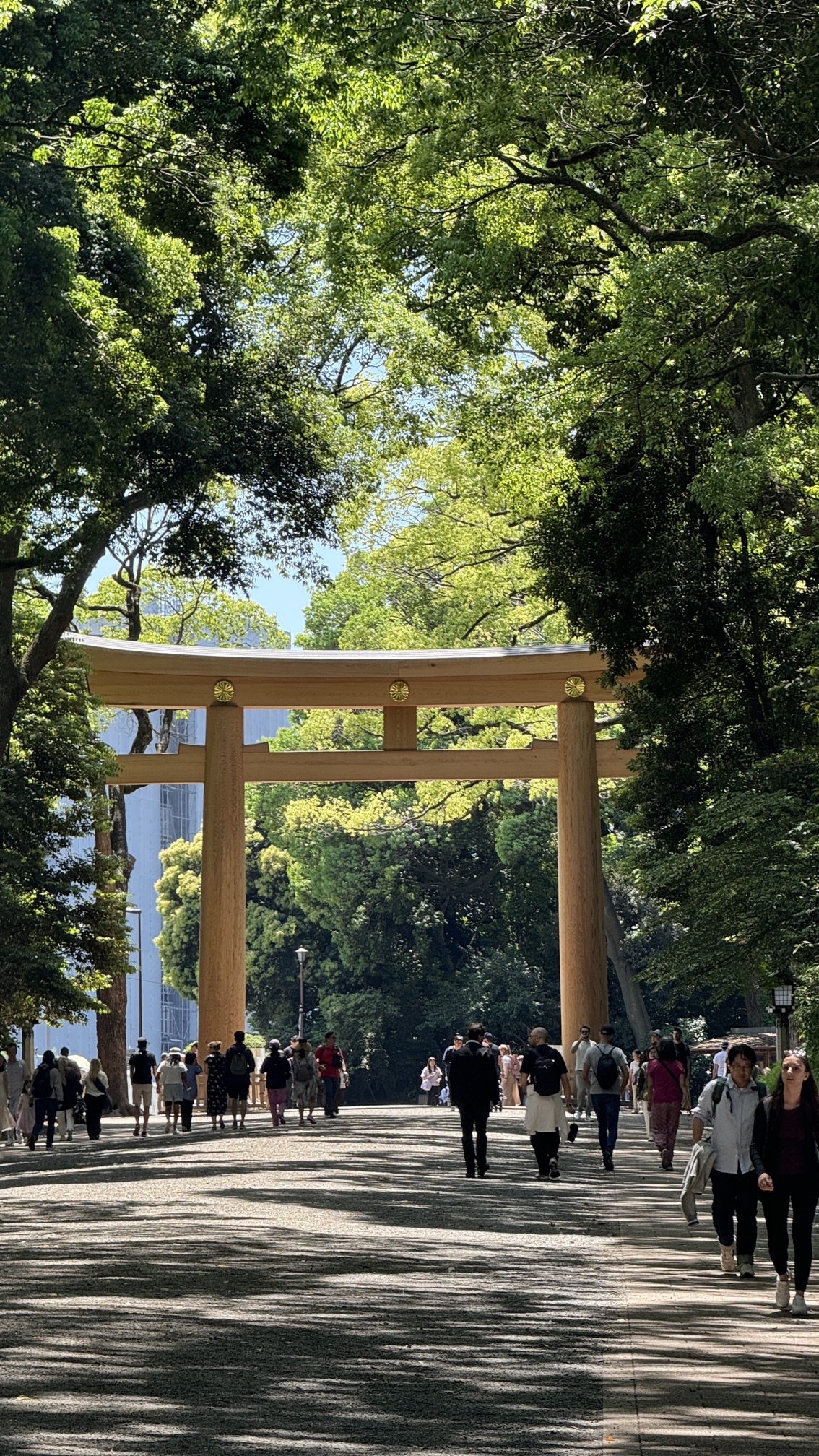 Peaceful forest pathway to Meiji Shrine surrounded by 100,000 trees, Tokyo