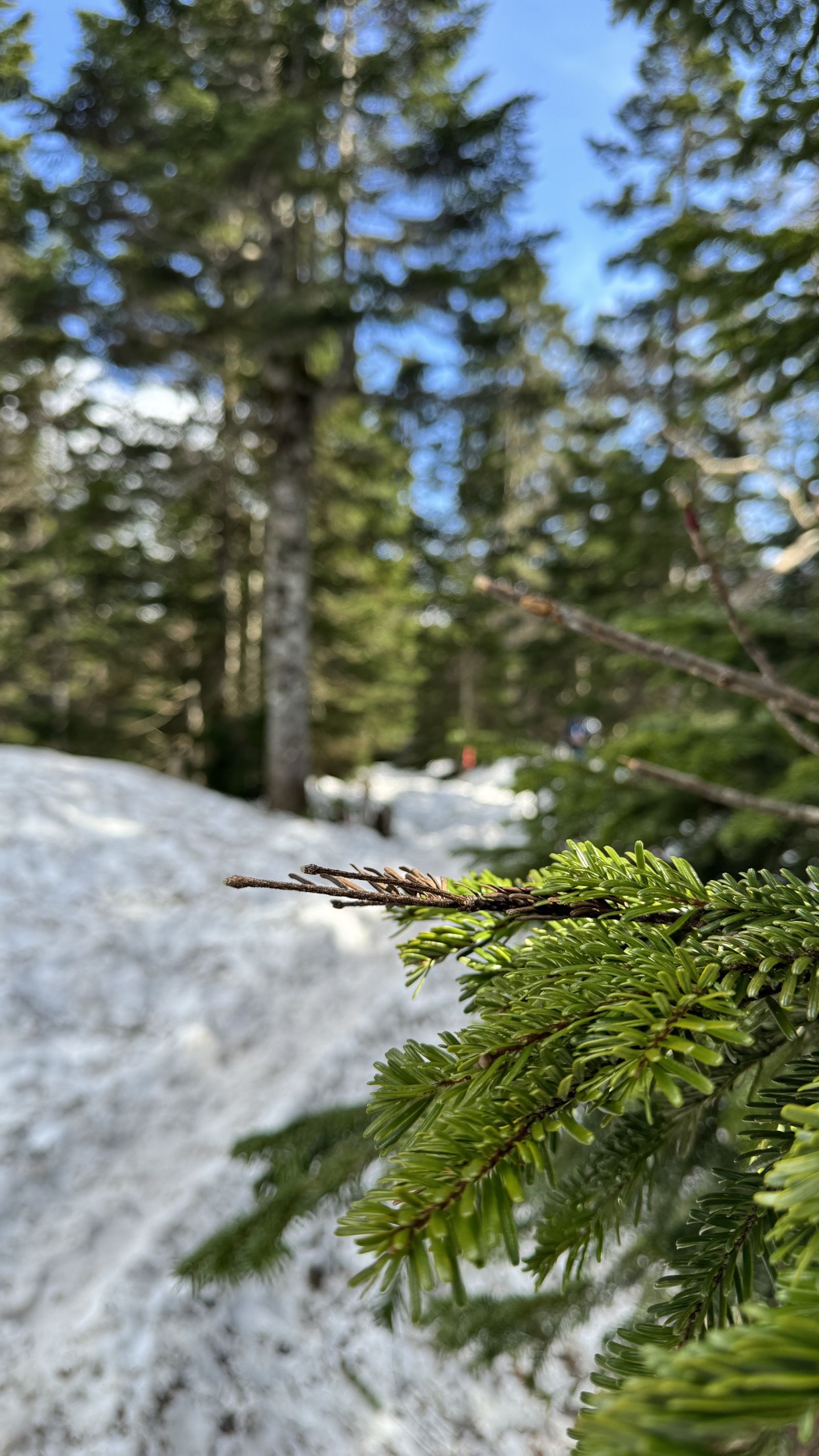 Alpine hiking platform with snow patches, mountain views, and wooden guide signs