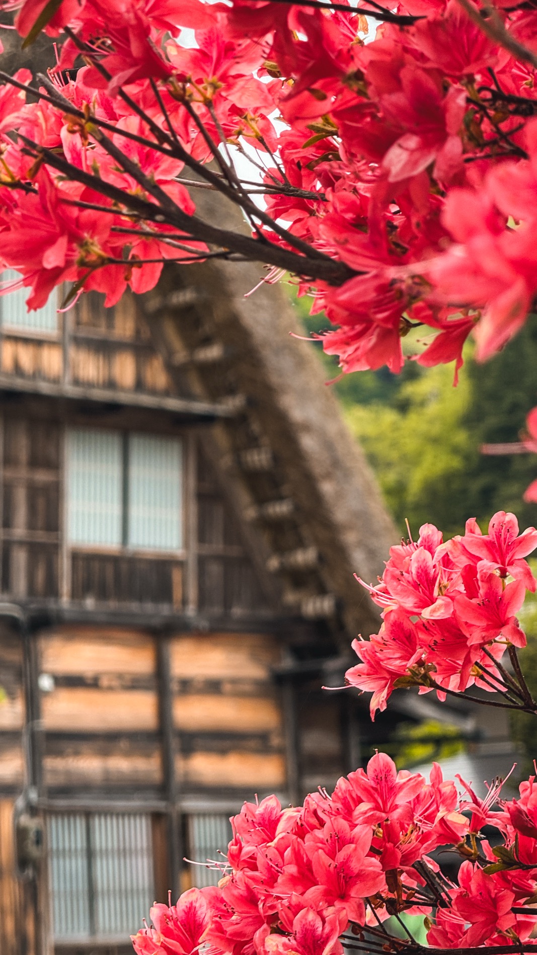 Ancient gassho farmhouse interior courtyard with traditional architecture details
