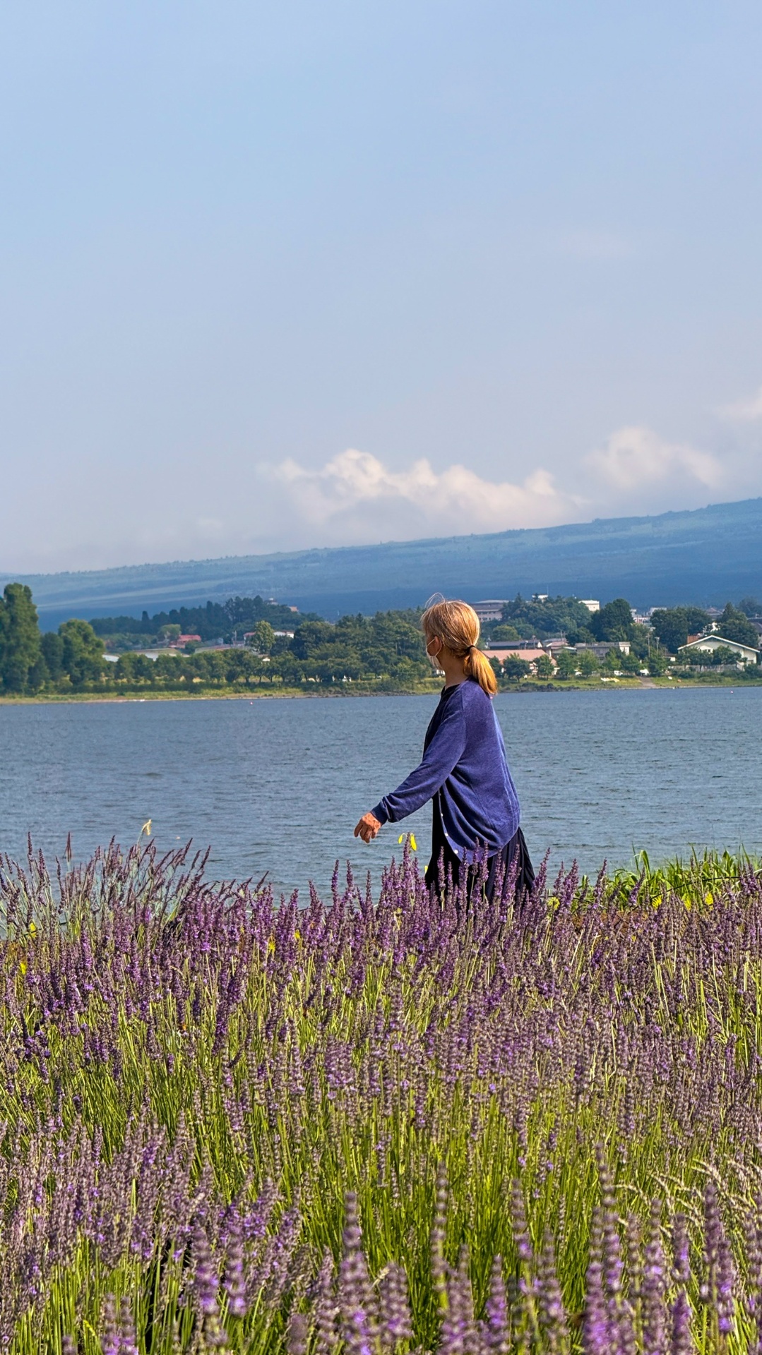 Walking through the lavender fields at Oishi Park on Lake Kawaguchiko