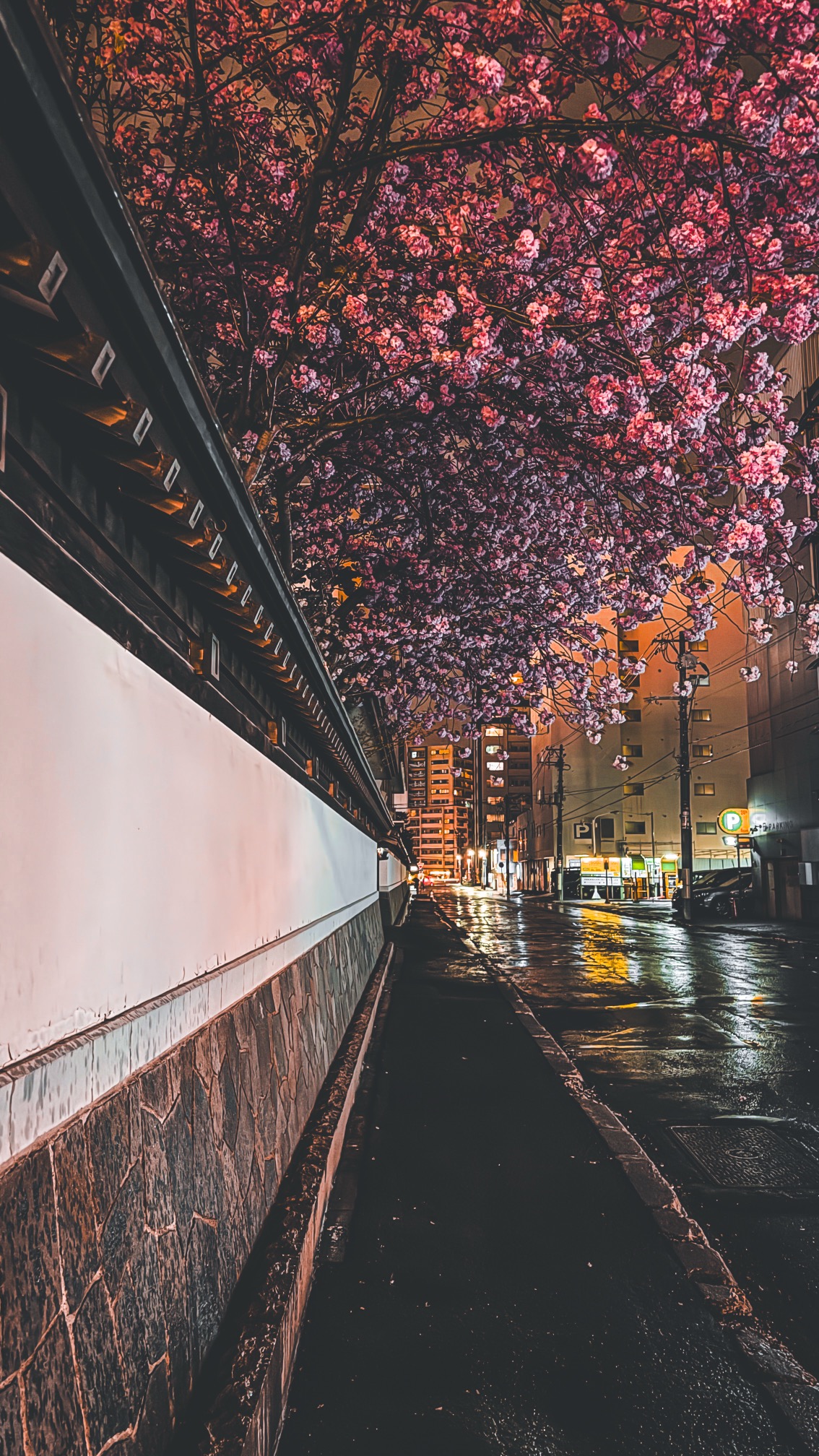 Urban Sapporo street view with modern buildings and mountain landscape