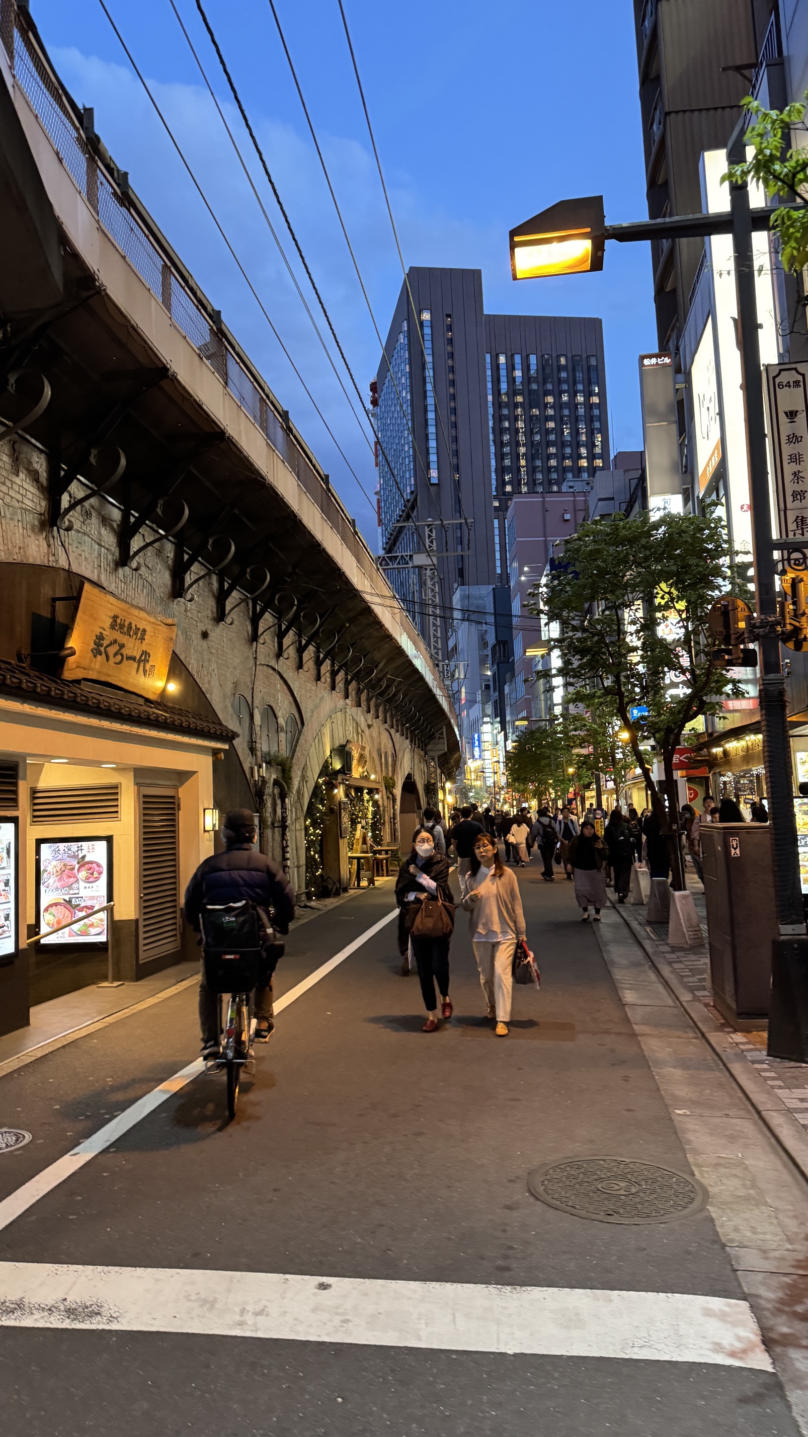 Tokyo skyline with mix of modern and traditional architecture, urban landscape