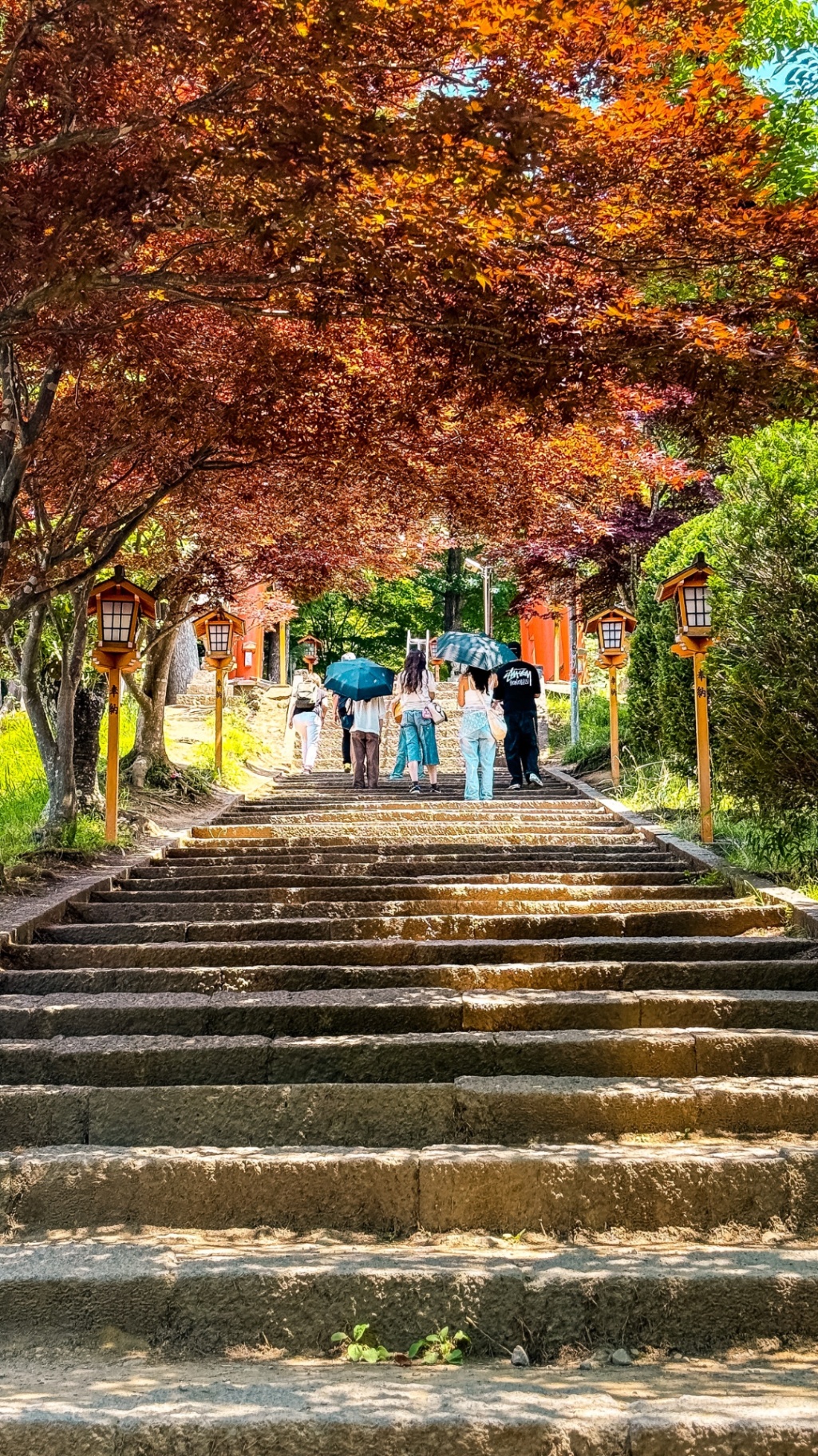 Stone steps to Chureito Pagoda framed by red maple leaves in summer