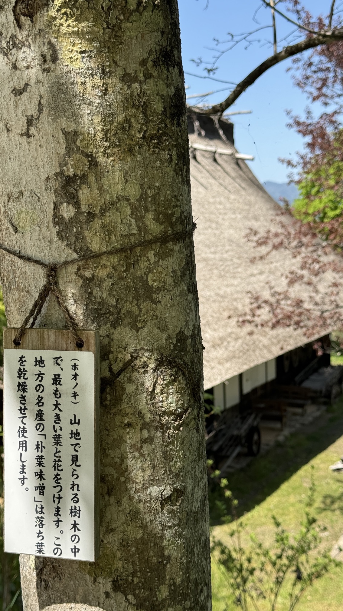 Traditional wooden buildings on peaceful village street with mountain valley views