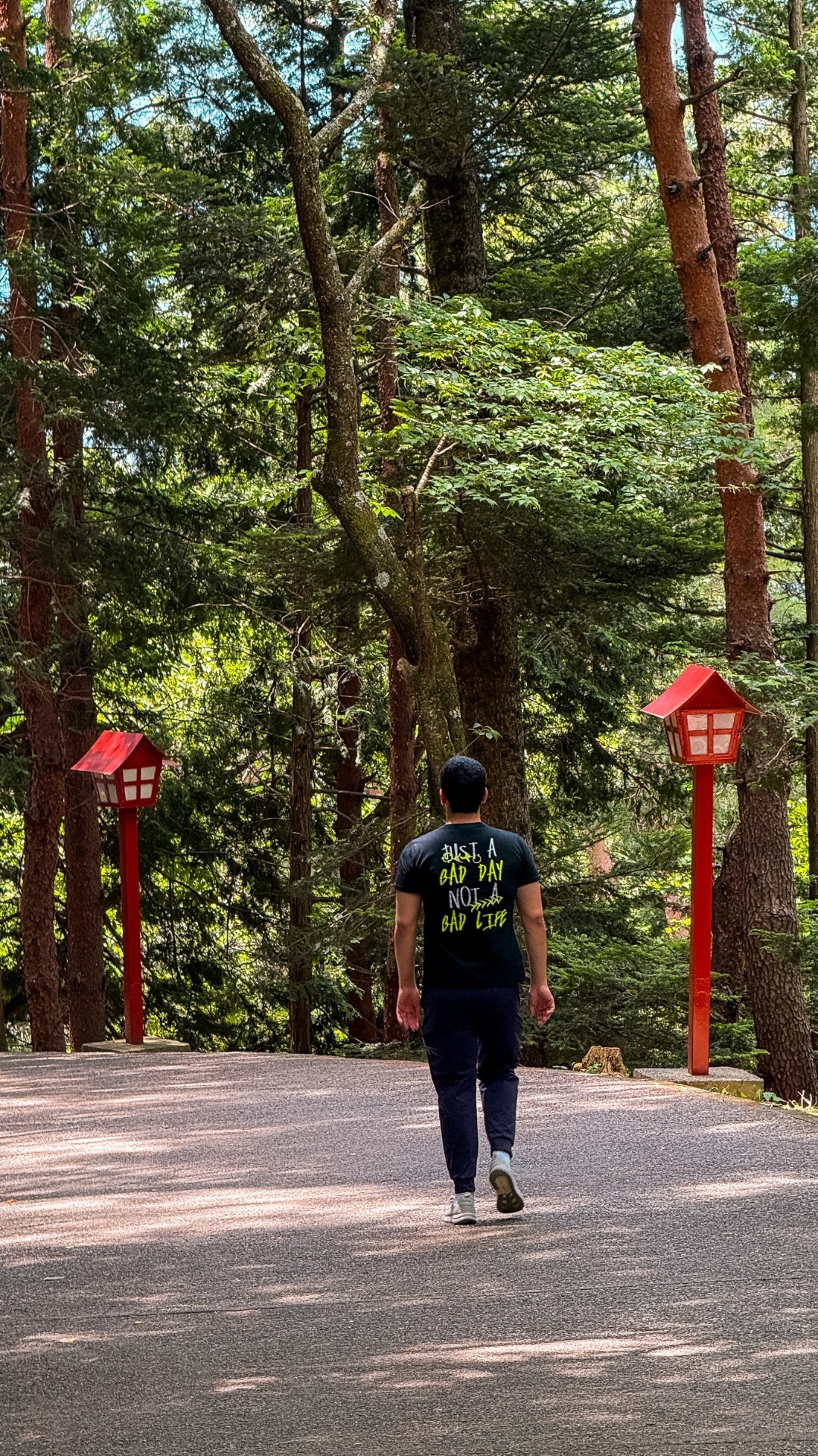 Forest path lined with red lanterns near Chureito Pagoda