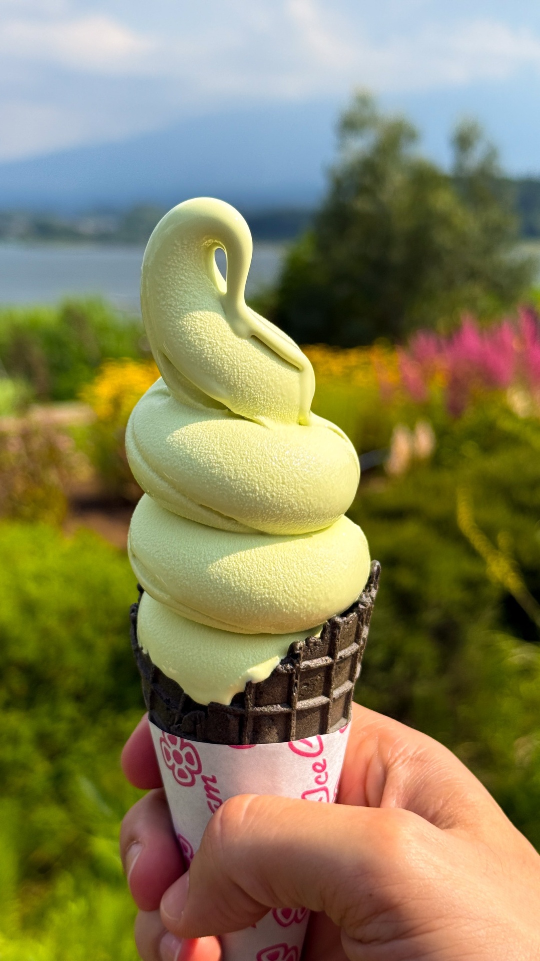 Matcha soft-serve ice cream at Oishi Park by Lake Kawaguchiko