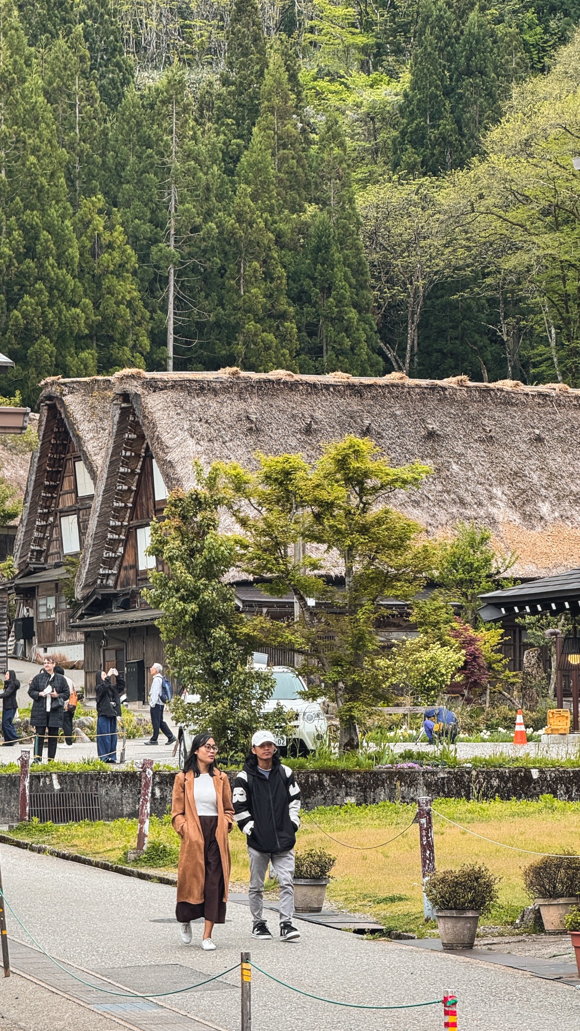 Historic gassho-zukuri village with terraced rice fields and mist, Shirakawa-go