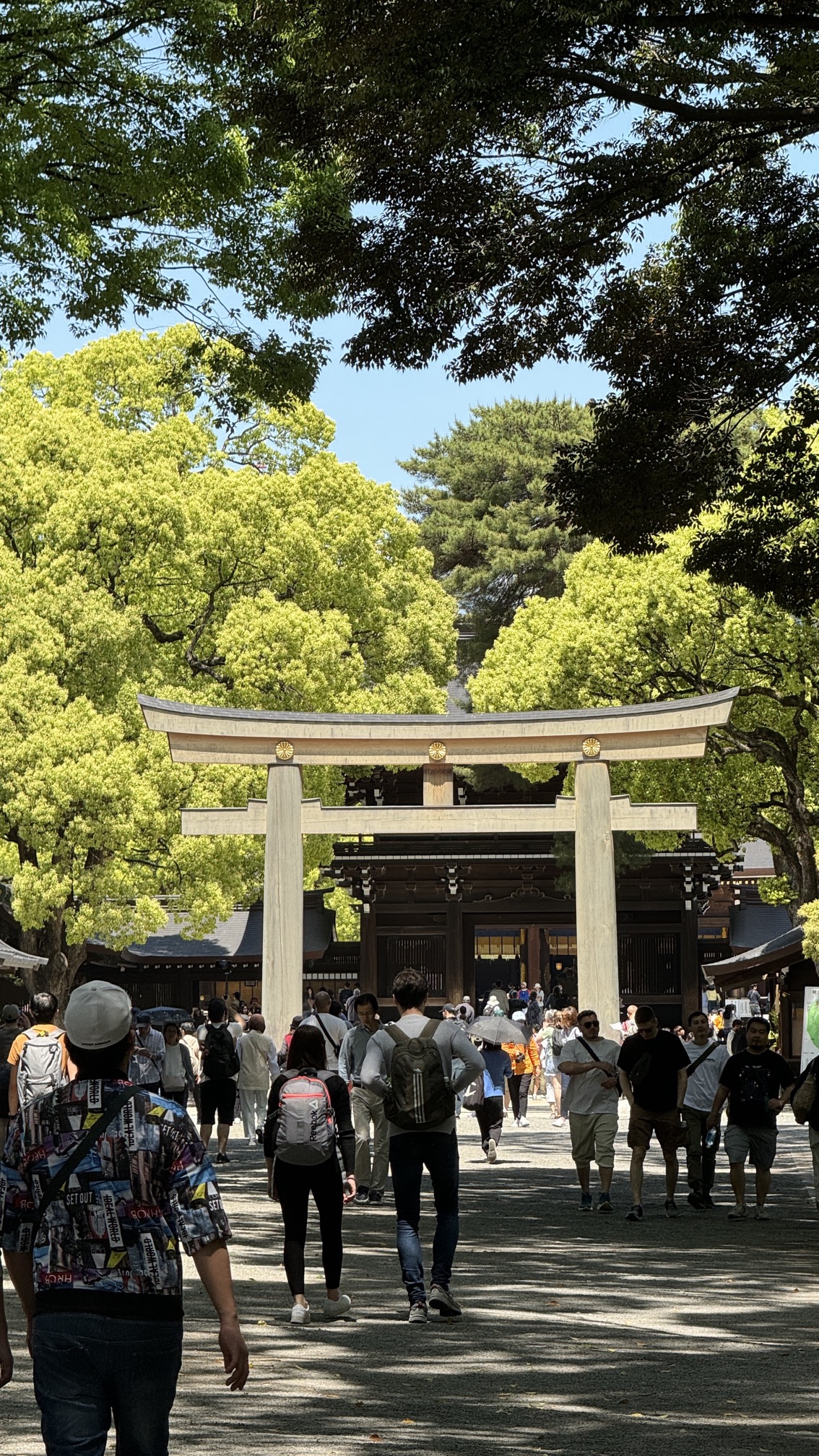 Meiji Shrine main building with traditional Japanese architecture in forest