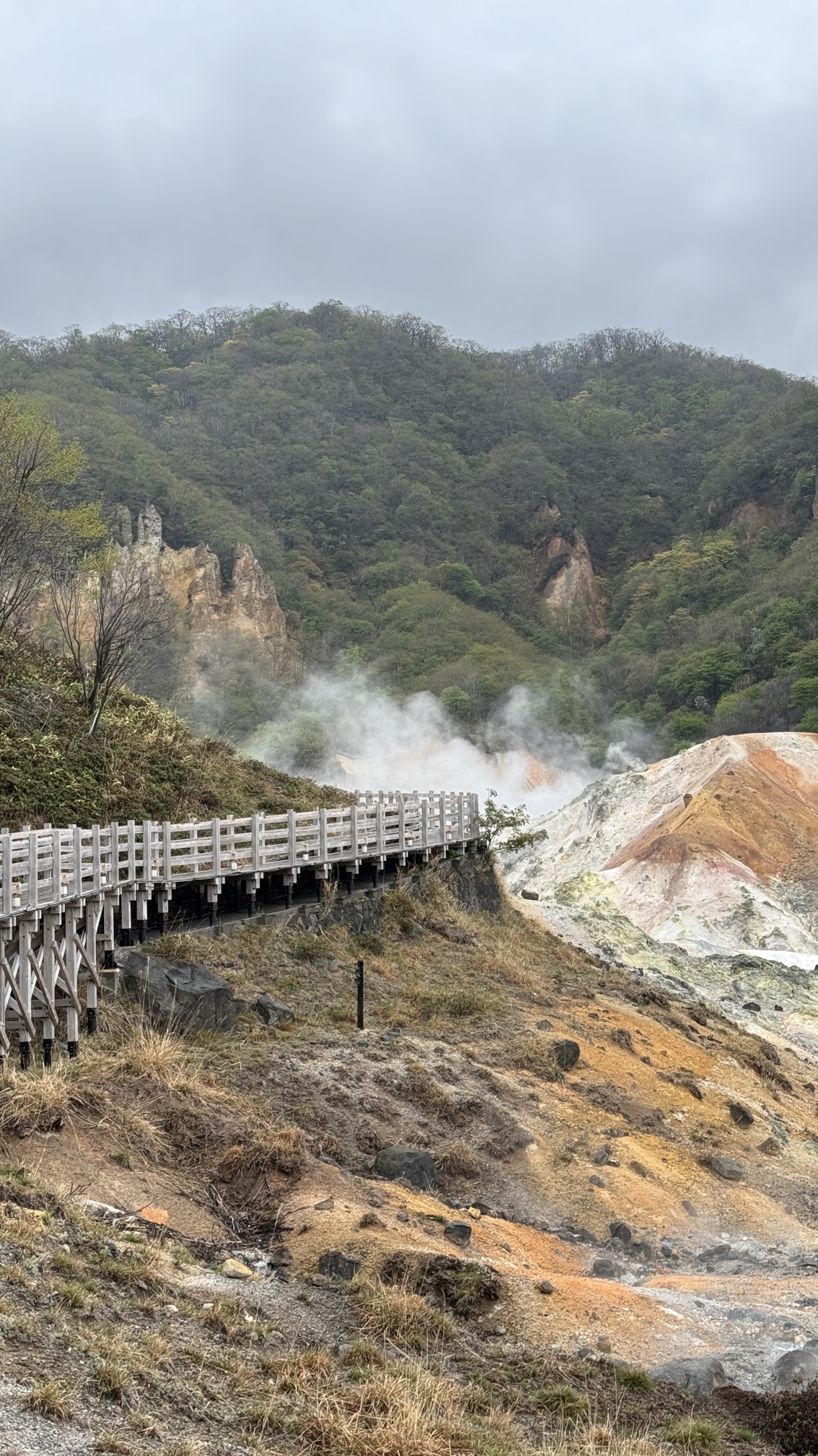 Sulfurous vents and mineral-rich waters in Jigokudani Hell Valley, Noboribetsu
