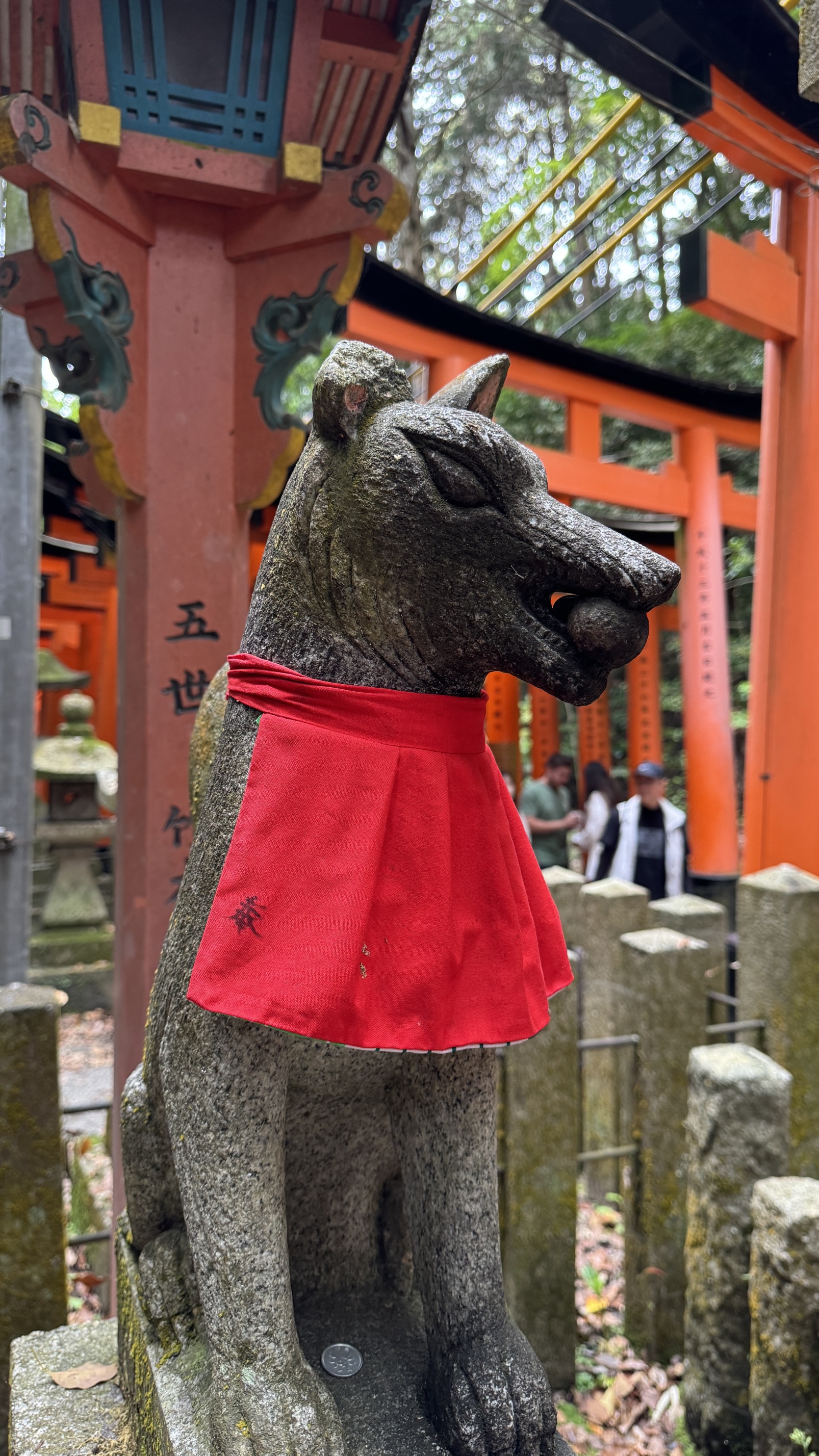 Serene Shinto shrine pathway lined with stone lanterns in forest setting, Kyoto