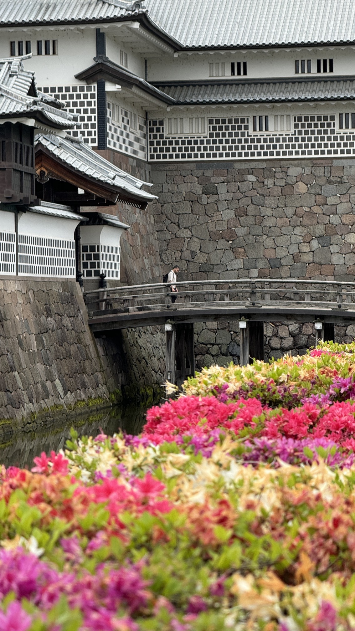 Kanazawa Castle stone walls with pink azalea blossoms and arched bridge