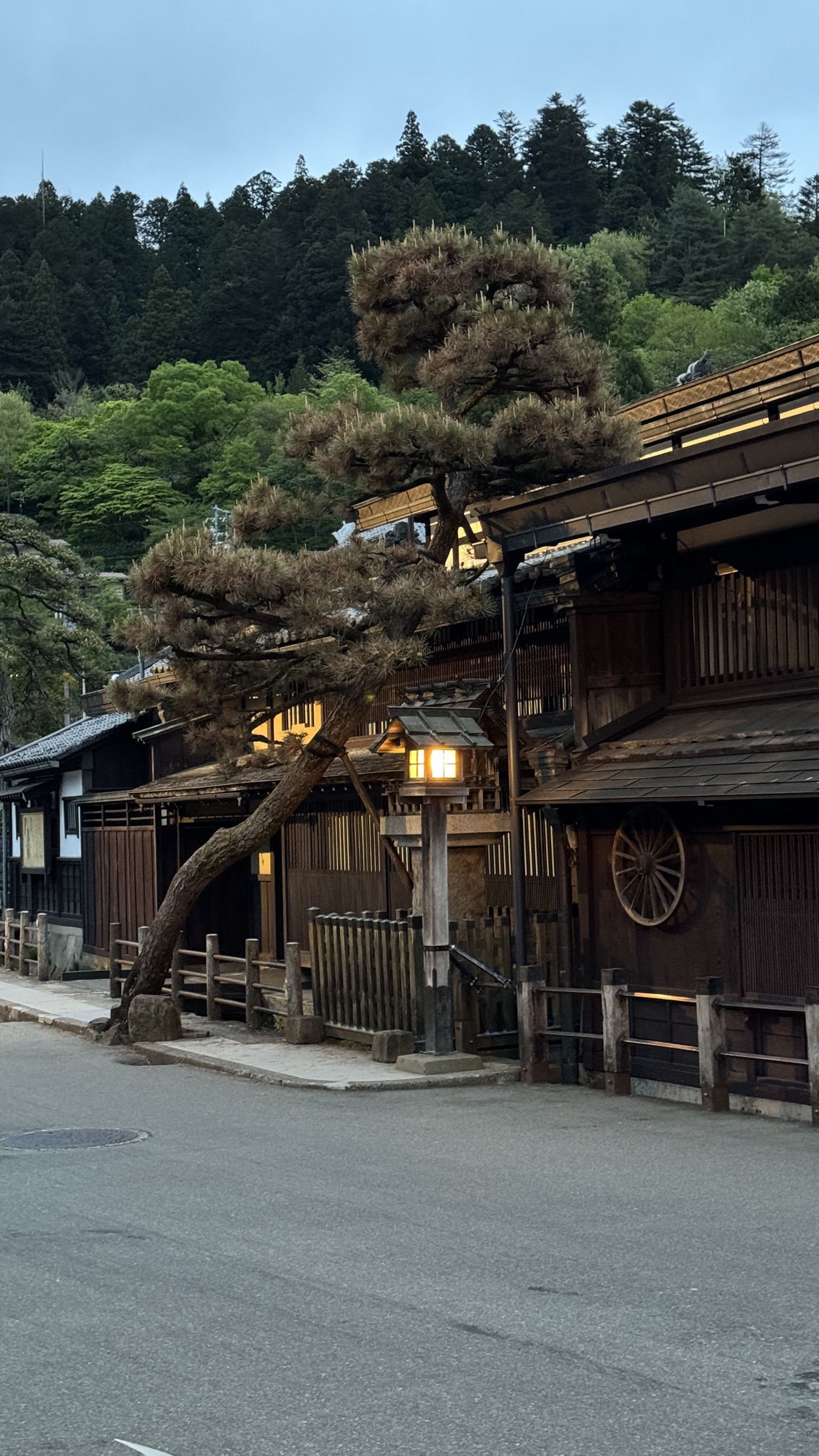 Preserved shopping street with 18th-century wooden buildings and pink flowering shrubs