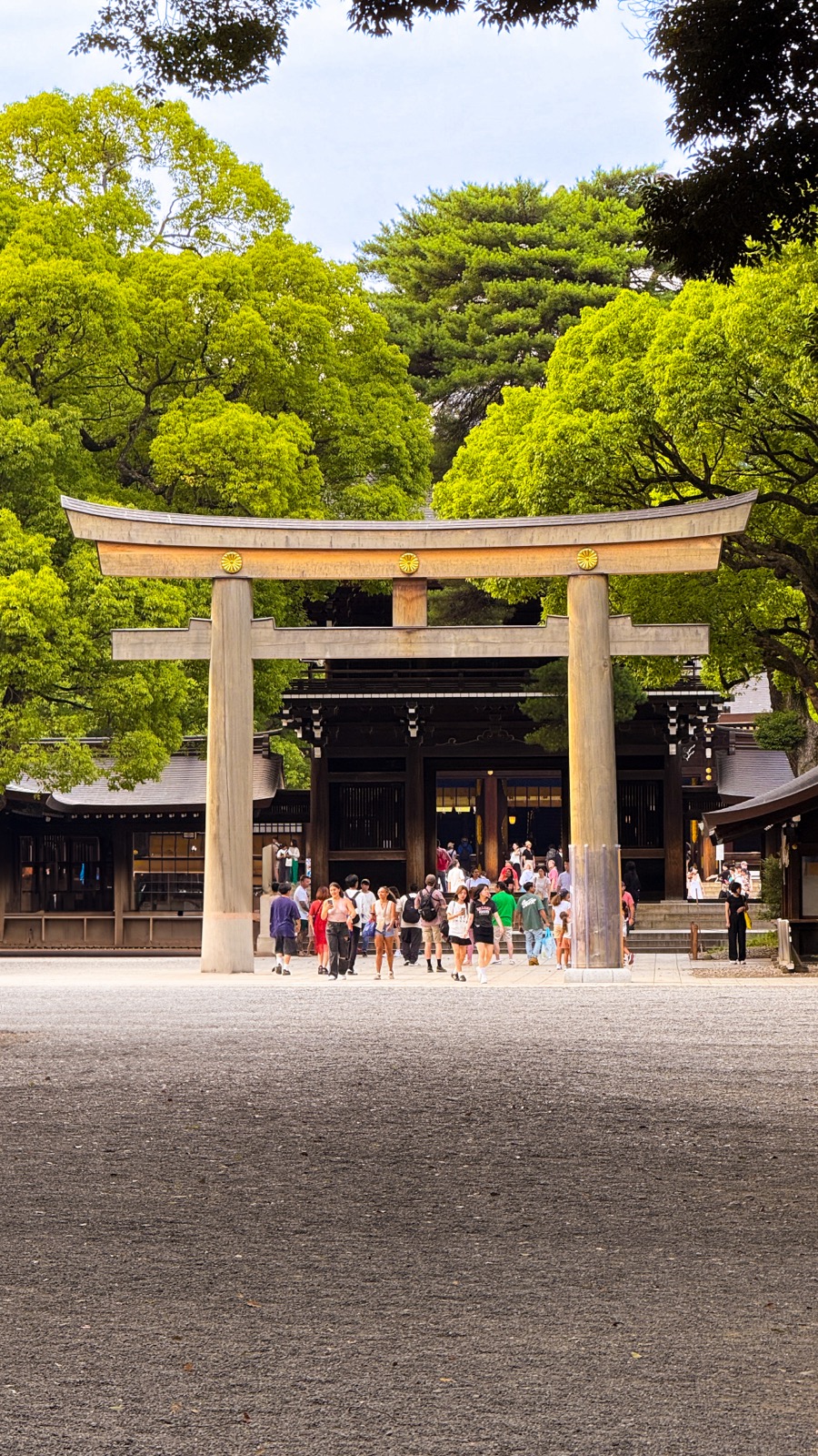 Meiji Shrine & forest walk