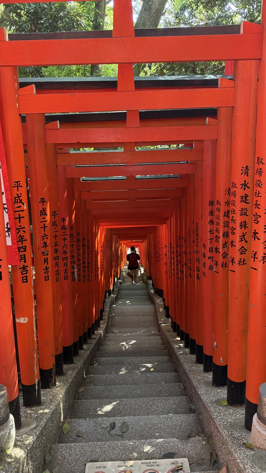 Nezu Shrine torii tunnel